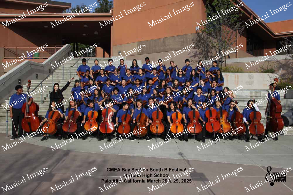 Musical Images